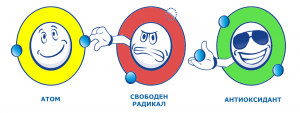 свободен радикал
